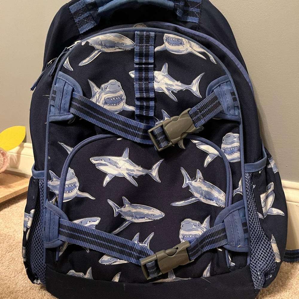 Large Pottery Barn Backpack
